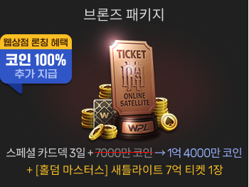 브론즈 패키지